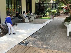 -T館·花园艺术餐厅