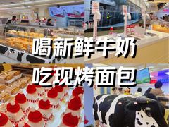 -红星前进面包牛奶公司(君太店)