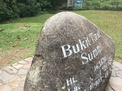 武吉知马山顶-武吉知马自然保护区