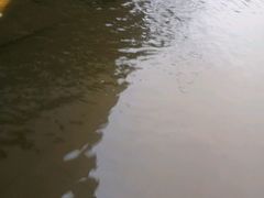 -上海外滩中星君亭酒店