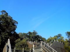 -福道