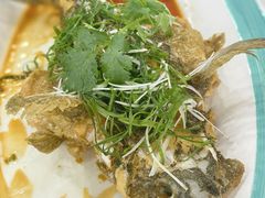 -绿雅居原生态农庄(小涌店)