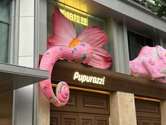 -帕帕拉兹宠物(亚洲旗舰店)