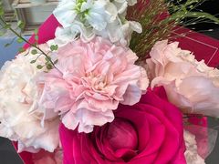 -奔驰上海利星(七宝店)