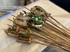 鳝鱼-晓靖轩烧烤(沙河风情店)