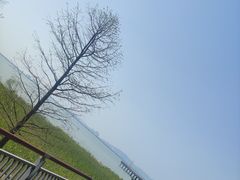 -苏州东太湖生态园