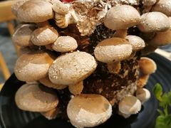 -今日炊牛·潮汕牛肉火锅(华采天地店)