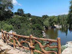 -北京西山国家森林公园