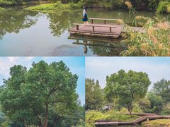 -西溪国家湿地公园