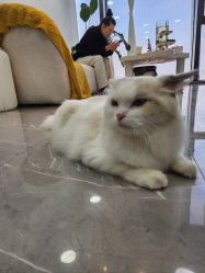 -元一肌肤管理中心