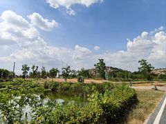 -青龙山国家森林公园