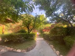 -麦积山温泉