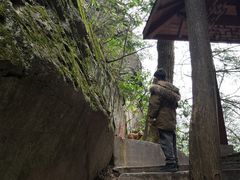 -藏龙百瀑风景区