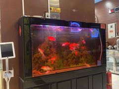 -东四民芳餐厅(世茂工三店)