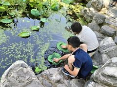 -莲湖公园