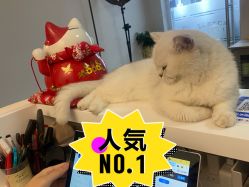 -熙画美上门MakeUp美甲美睫