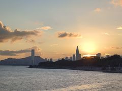 -深圳湾公园(南山区)