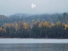 -五营红松林海景区