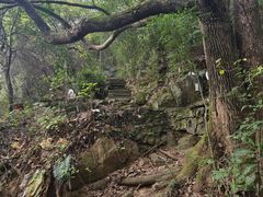 -杭州半山国家森林公园