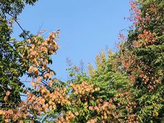 -洨河生态公园