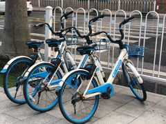 -澳门环岛游湾仔码头