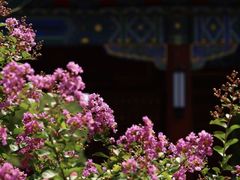 -杭州城北体育公园