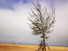 -白沙门生态公园