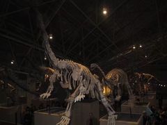 -世界恐龙谷景区