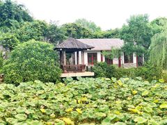 -惠州西湖丰渚园