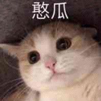 -失落之城沉浸式剧情密室(江宁万达店)
