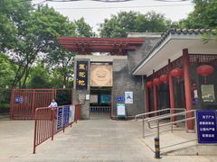 -莲花池公园