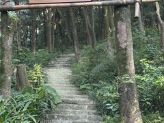 -广州市帽峰山景区