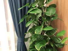 -解家河南菜(商鼎路店)