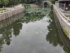 -水绘园