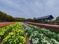 -广东花都香草世界旅游度假区