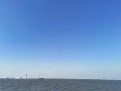 -上海滨江森林公园