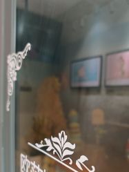 点击看大图 -爱儿美儿童摄影(奥森公园店)