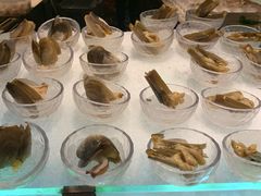 -半岛翡丽海鲜自助餐厅(观风亭店)
