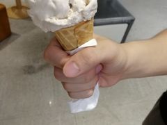 凤凰单枞雪糕-歎雪糕低糖低脂Gelato冰淇淋