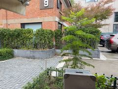 -Bamboo Today Cafe(国创园店)