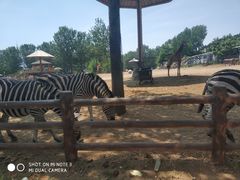 -大连森林动物园