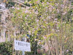 -景田北六街公园宠物主题园