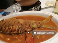 -阿五黄河大鲤鱼(纬三路店)