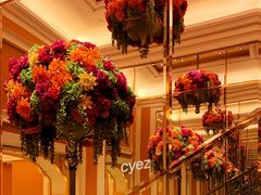 -咖啡苑 - 蔚藍夏日限定主题(永利皇宫店)