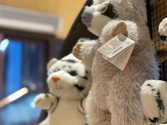 -ZOO COFFEE动物园咖啡(望京锐创店)