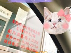 -长兴对江渡客运站