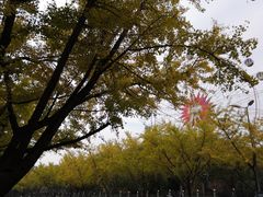 -赭山公园