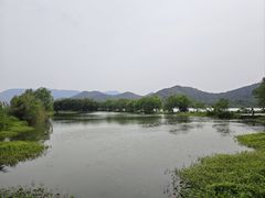 -鸣鹤古镇