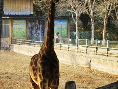 -常州淹城野生动物世界