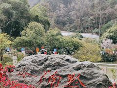 -黔灵山公园